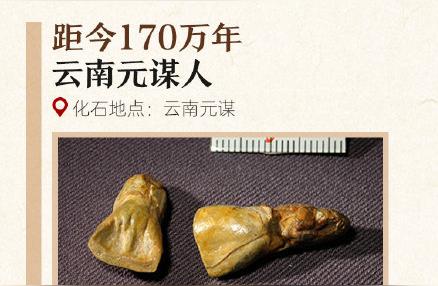 一图了解中国古人类化石的多样性