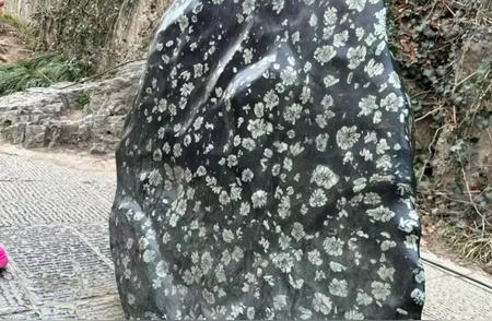 龙门石窟之美：牡丹石的魅力，令人难以忘怀