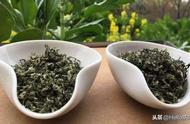 新农人说茶：揭秘碧螺春，一种你可能还不知道的茶叶种类