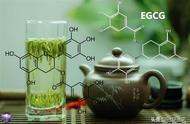 茶多酚可能对肝脏有害，欧盟新规限制摄入量，绿茶还能喝吗？