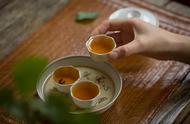 六堡茶的华丽转身：从苦涩到醇香，味蕾的奇妙之旅