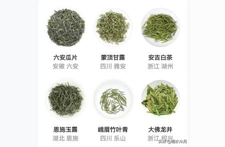 茶叶大全：品种图鉴与原产地指南