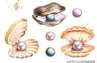 揭秘海水珍珠与淡水珍珠的差异