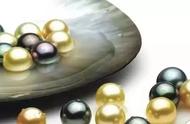 海水珍珠与淡水珍珠：你真的了解吗？
