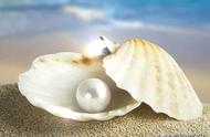 探索海水珍珠与淡水珍珠的奥秘：一场珍珠的盛宴
