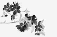 探索国画中的四君子：梅兰竹菊的气度与魅力