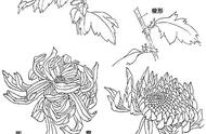 掌握中国画菊花技巧，轻松画出美丽菊花