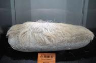 辽宁神秘奇石半年长2cm，浑身白发引关注