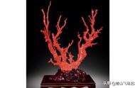 揭秘红珊瑚：虫子的奇迹堆积