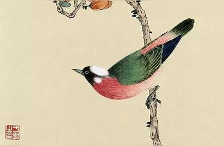 探索艺术之美：高清工笔花鸟图集赏析