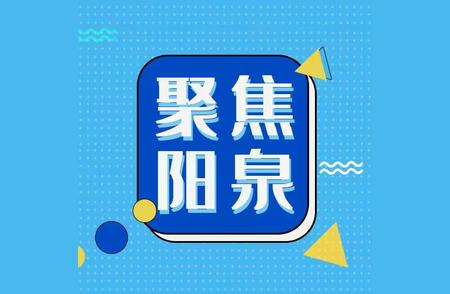 揭秘央视报道的3.1亿年前阳泉木化石群，揭示史前生命的奥秘