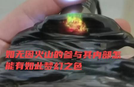 深度解读：树化玉的收藏魅力与投资价值