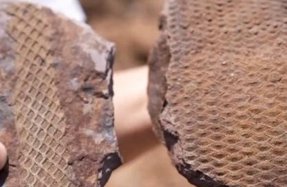 山西阳泉惊现史前化石，揭秘古老生物的秘密