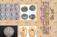 中国古钱币史：揭开朝代、名称与简介的神秘面纱