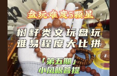 小凤眼菩提盘：地狱级难度，5颗星的困难度