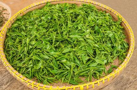 西湖龙井茶：中国绿茶的瑰宝
