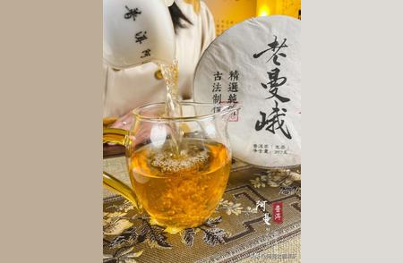 探索普洱茶的极致口感：哪款最让你陶醉？