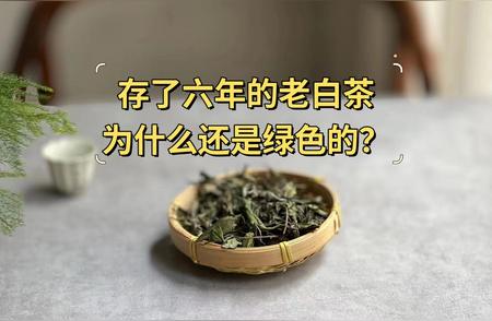 老白茶：陈年之下叶片依旧翠绿？