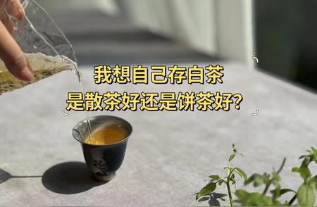 白茶存储：选择饼茶还是散茶？