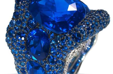 惊世珍宝：揭秘史上最大的蓝宝石发现背后的故事