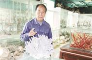 罕见蓝珊瑚现身东山民俗馆：探秘国家二级保护物种的珍贵踪迹