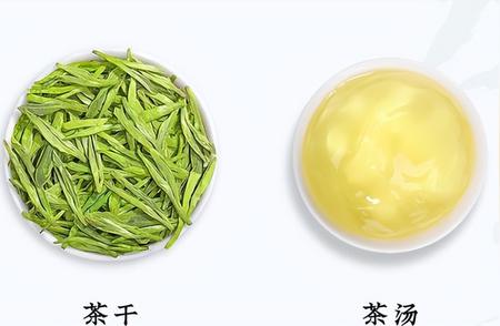 绿茶品种推荐：哪种绿茶最受欢迎？