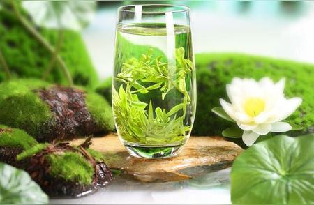 绿茶泡茶秘诀：正确步骤助你享受香醇口感