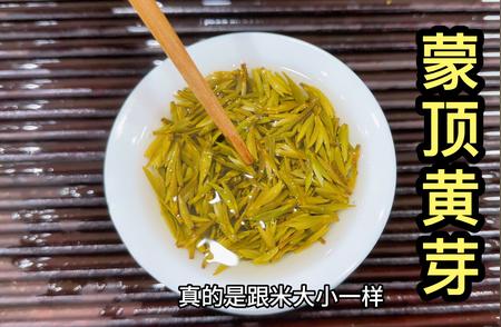 蒙顶黄芽：四川黄茶的璀璨明珠