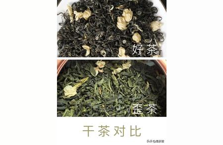 茉莉花茶：价格与品质之间的秘密