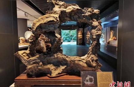 甘肃肃州'万石境'以半价优惠款待游客，展示中西知名观赏石
