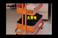 孟买猫：缅甸猫的限定皮肤，电力消耗大户 #黑猫