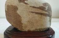 陈先生在四川的旅行中发现的稀世金海石，价值320万