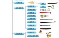 路亚钓法：历史、术语和解析