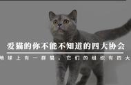 四大协会，爱猫者的必备知识！