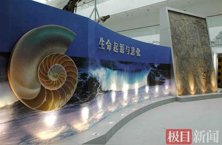 武汉高校博物馆的神秘旅程：43亿年前岩石揭示了远古生命的足迹