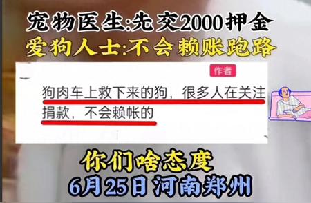 宠物医生押金引发关注：爱狗人士信任与支持背后的故事