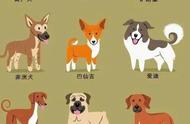 萌犬集结：全球最知名的狗狗品种大揭秘！