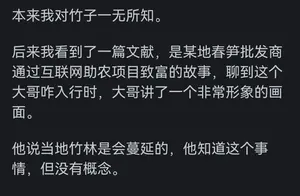 中国人为什么偏爱木质筷子？钢制筷子的环保优势何在？