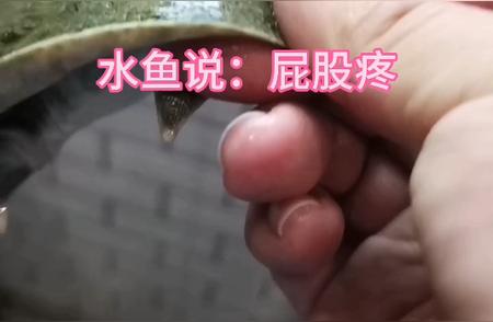 功夫虾钓虾馆：解锁最正宗的美味之旅！