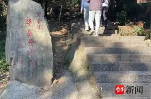 南京大学生热衷陪爬紫金山，背后原因大揭秘