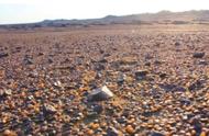 内蒙古干涸湖中五彩斑斓的石头被捡拾，三年损失高达20亿