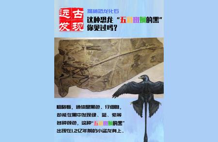 探索恐龙化石：你见过这种五彩斑斓的黑恐龙吗？