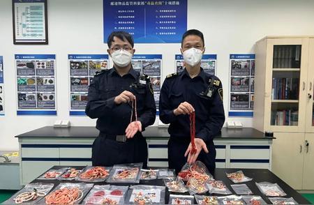 广州海关成功查获348件濒危红珊瑚制品，将依法处理