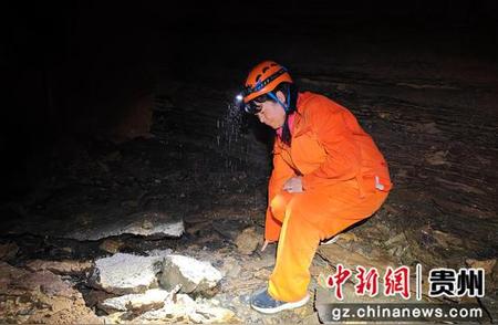 探索揭秘：绥阳双河溶洞惊喜发现熊猫古化石