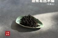 刚购买的武夷岩茶水仙，为何香气如此浓郁？李麻花揭示了真相