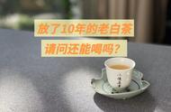 白茶的保质期：超过10年还能喝吗？