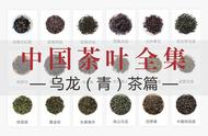 中国茶叶全集：乌龙茶篇（共收录28款青茶名茶）