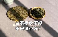 白茶散茶与饼茶：哪种更适合收藏？