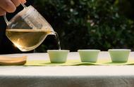 春茶的香与冬茶的水：茶叶制作季节的影响