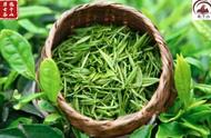 绿茶是什么？如何鉴别绿茶？